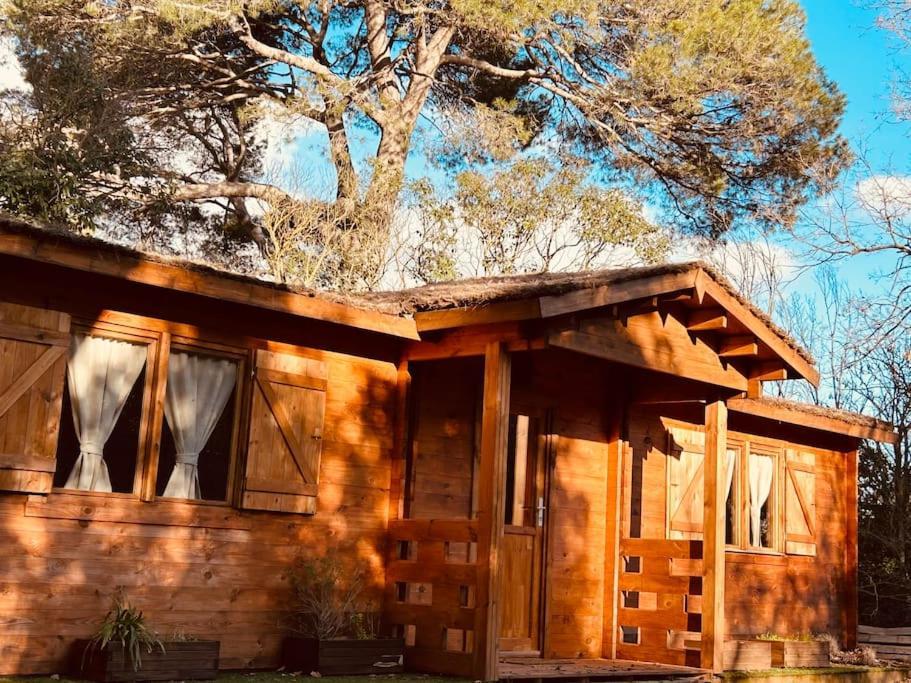 Chalet Bois Jacuzzi Bessan Buitenkant foto